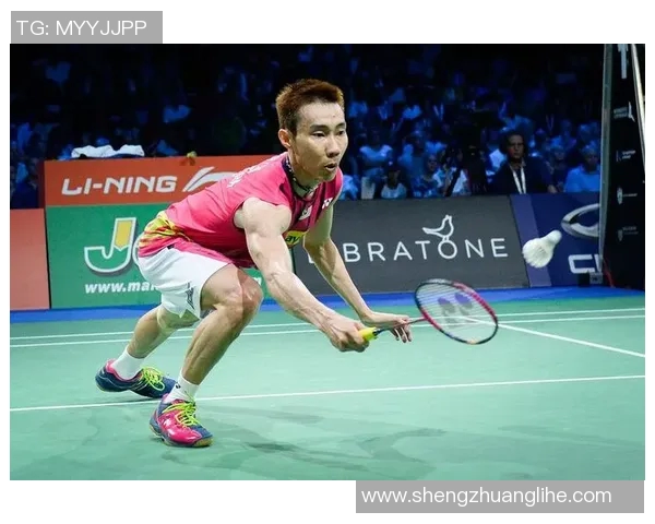 历届羽毛球体育明星排名与成就回顾分析及影响力探讨