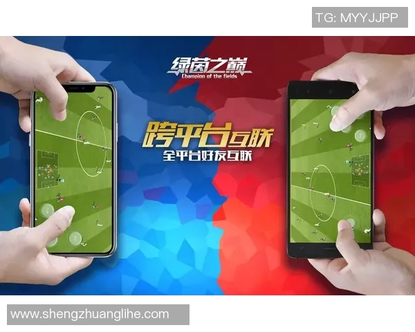 娱乐圈与足球明星的交汇点：当明星光环遇上绿茵场的激情碰撞