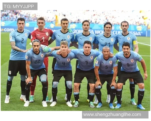 冰岛足球历史中的传奇明星与他们的辉煌成就回顾